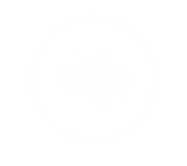 Mute/Unmute Icon